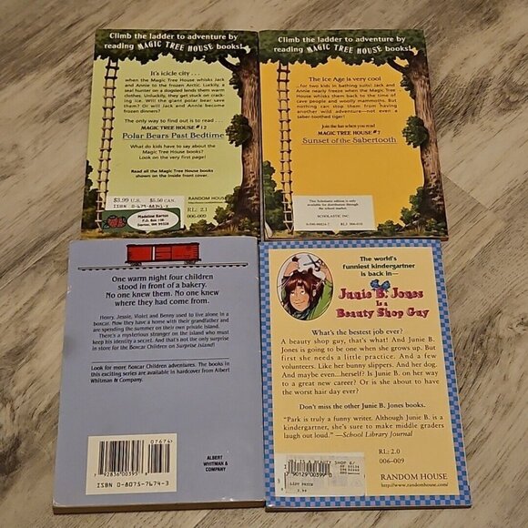 Chapter Book Lot Instant Library Girls Interest Babysitters Mary Kate Homeschool - Picture 10 of 12